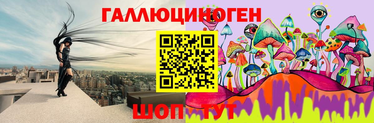 Псилоцибиновые грибы Cubensis Великие Луки