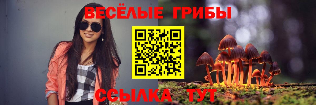 Круглые  ГАШИШ  Великие Луки  Мяу-Мяу  Мяу-Мяу  A PVP  Вход с VPN 
